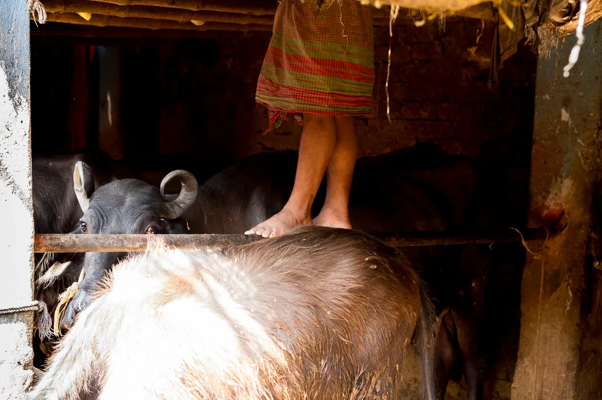 Kalkutta_website-1001387